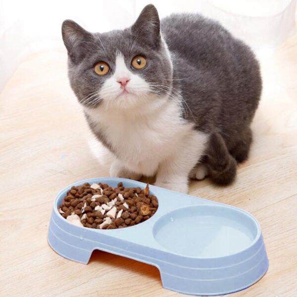 4pcs Double Bowl for Pets - Image 4