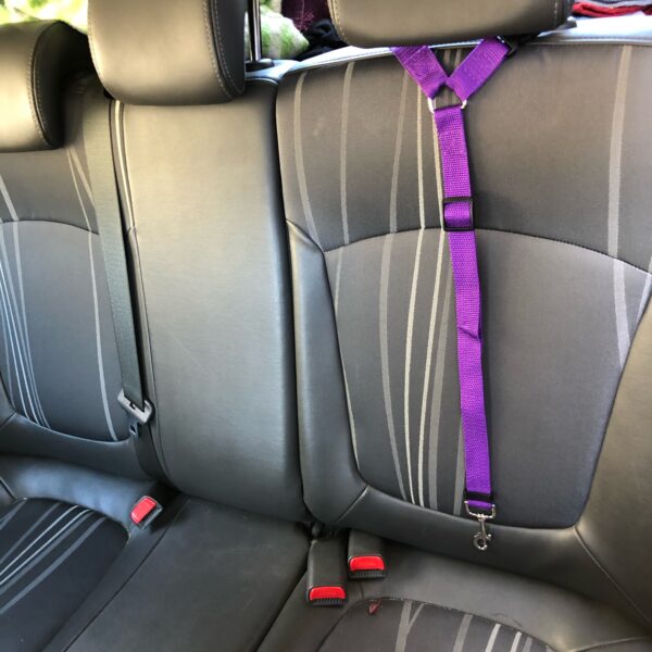 Car Seat Belt for Pets - Image 2